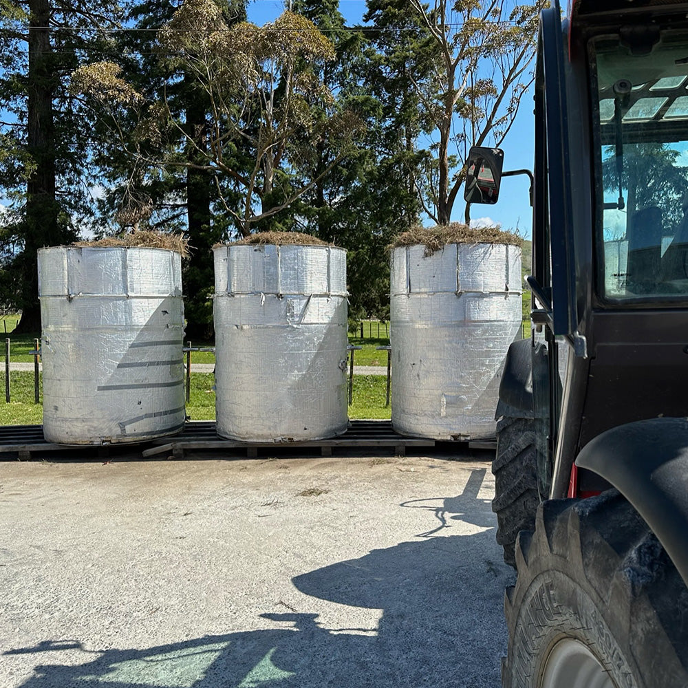  Large metal drums containing cut mānuka trees and flowers